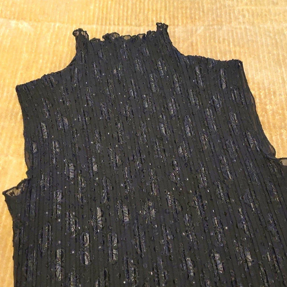 Sheer Turtleneck Top